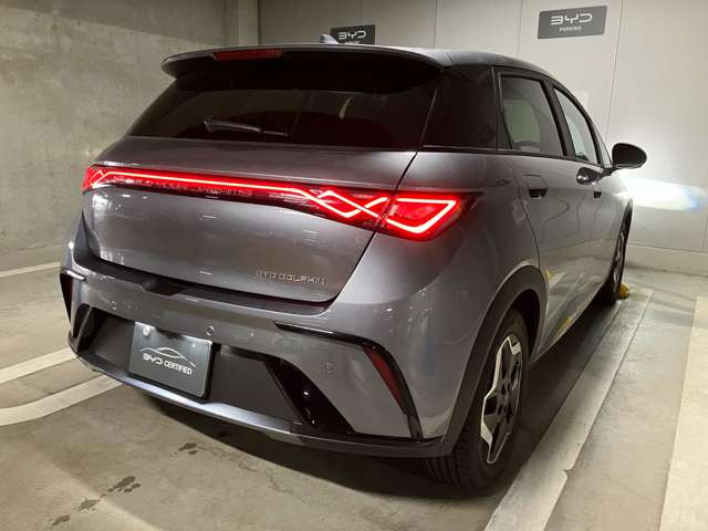 ドルフィンベースライン