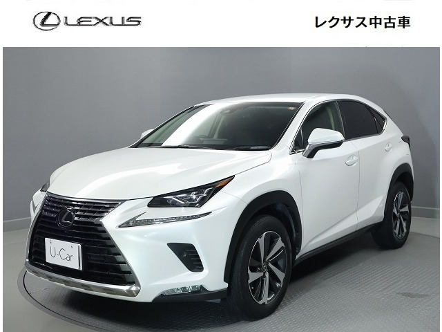 NX300 Iパッケージ 4WD