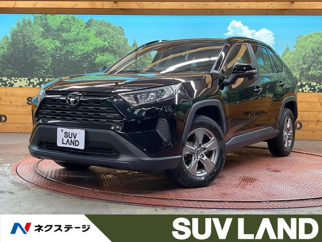 RAV42.0 X