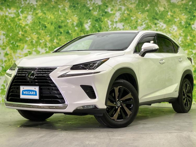 NX300h バージョンL