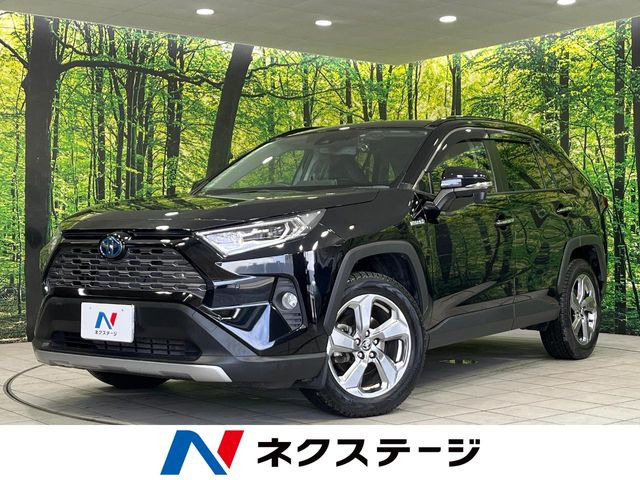 RAV42.5 ハイブリッド G E-Four 4WD