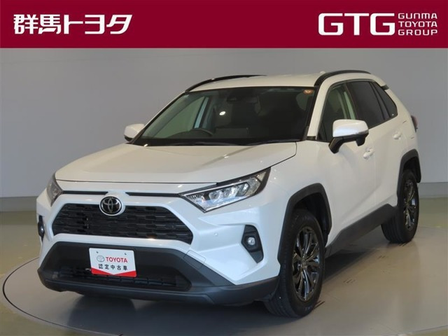 RAV42.0 X