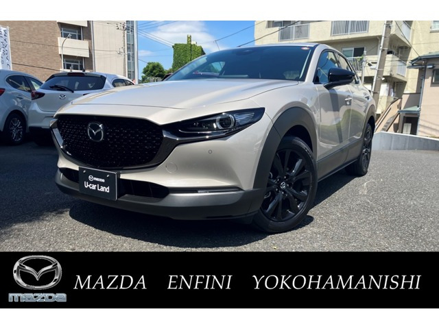 CX-301.8 XD ドライブ エディション
