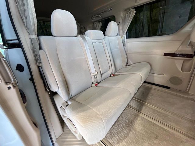 �㕔���Ȃ��C�ɂȂ�悤�ȃL�Y�E�����ւ��蓙�A�傫�ȃ_���[�W�͂Ȃ��A�ǍD�ȏ�Ԃł��B