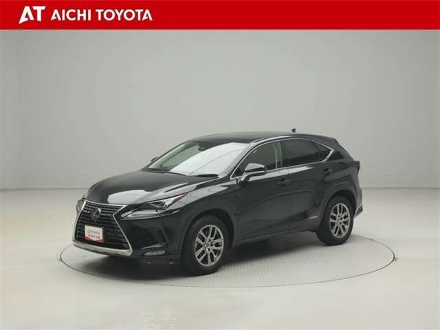 NX300h バージョンL 4WD