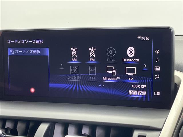 NX300h Fスポーツ