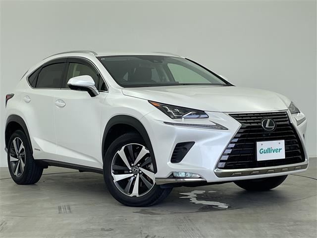 NX300h Iパッケージ