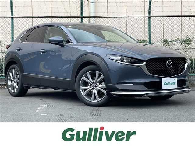 CX-301.8 XD Lパッケージ