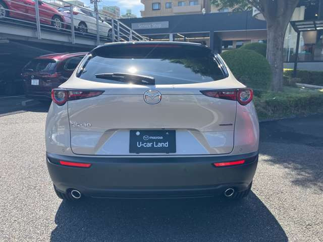 CX-301.8 XD ドライブ エディション