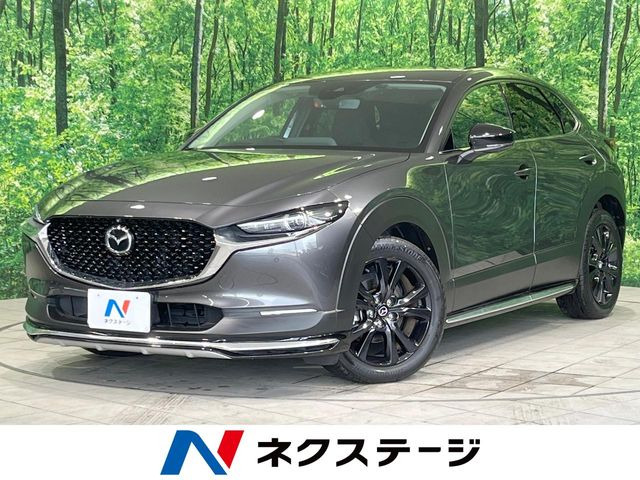 CX-301.8 XD ブラックトーンエディション