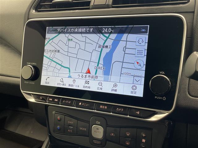 リーフX