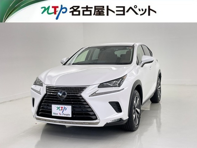 NX300 Iパッケージ