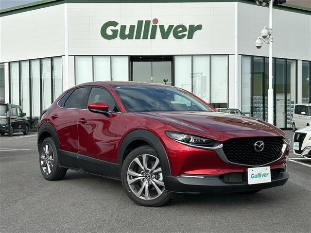 CX-301.8 XD Lパッケージ