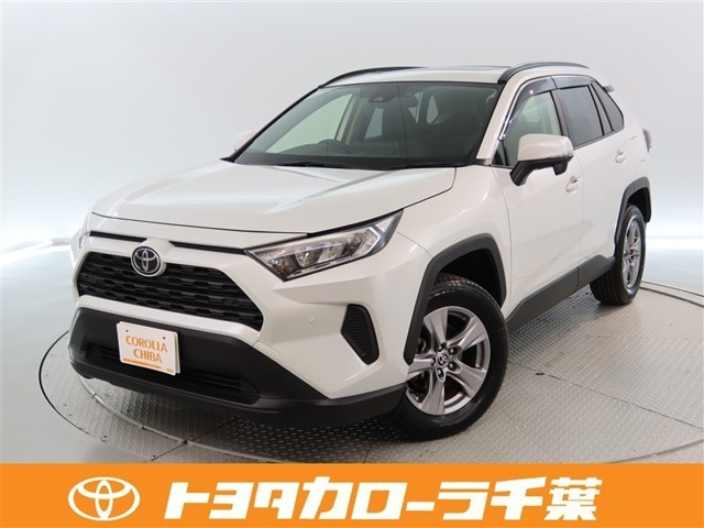 RAV42.0 X