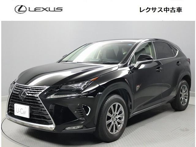 NX300 Iパッケージ