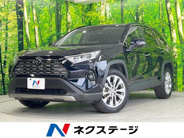 RAV42.0 G Zパッケージ 4WD
