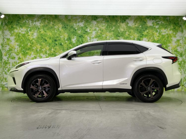 NX300h バージョンL