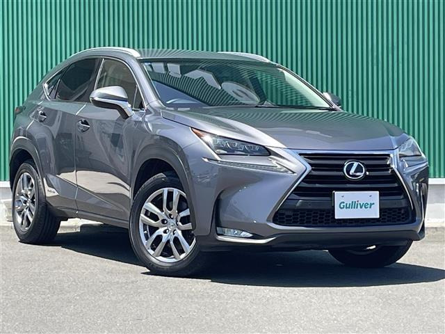 NX300h Iパッケージ 4WD