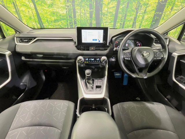 RAV42.0 X