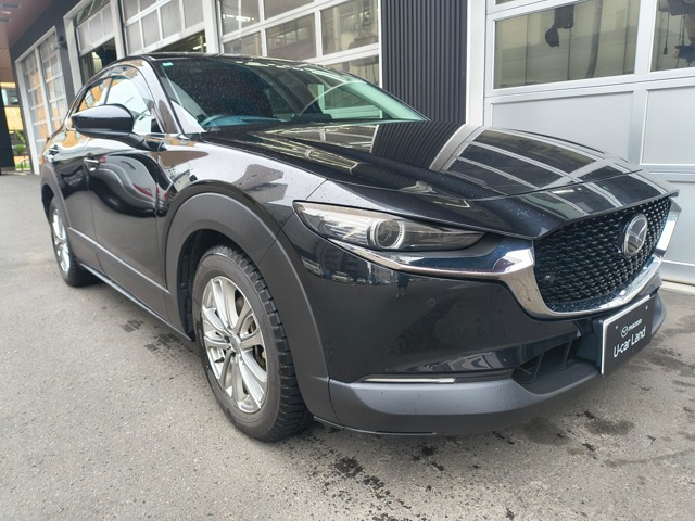 CX-302.0 20S プロアクティブ ツーリングセレクション 4WD