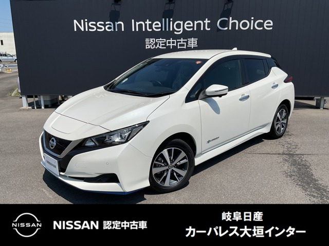 リーフe+ X