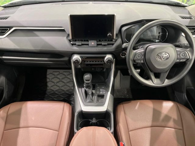 RAV42.0 X