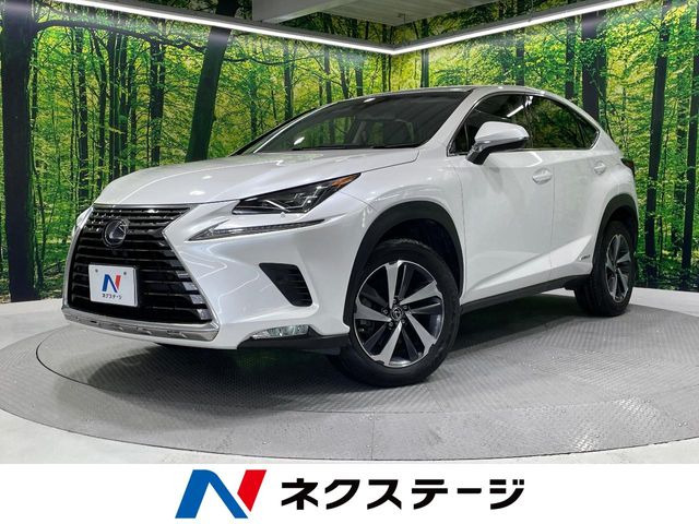 NX300h Iパッケージ