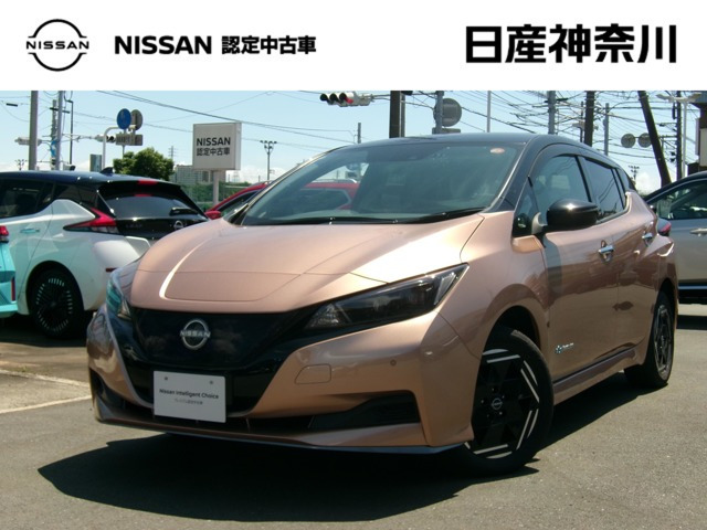 リーフe+ X
