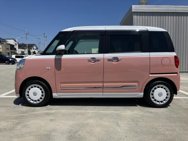 ムーヴキャンバスストライプス G