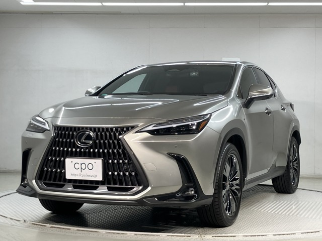 NX350h バージョンL