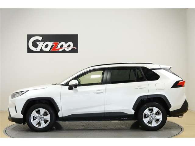 RAV42.0 X