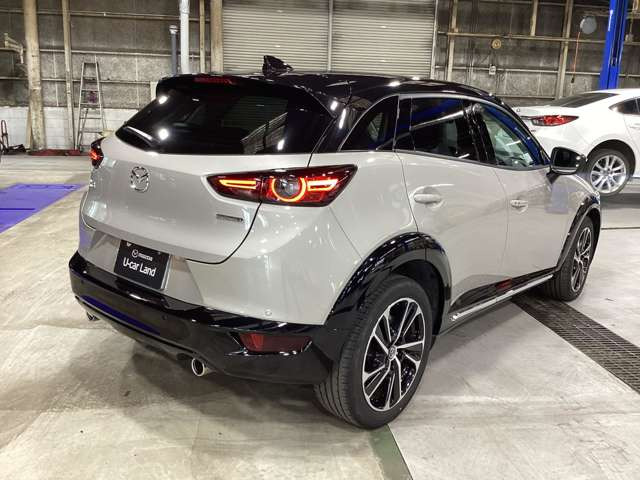 CX-31.8 XD ビビッド モノトーン