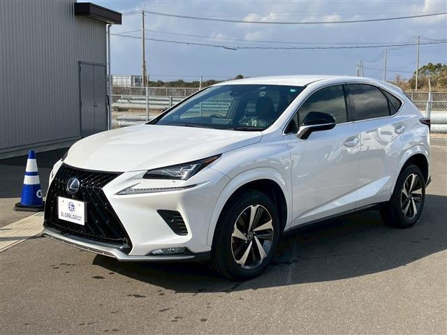NX300h