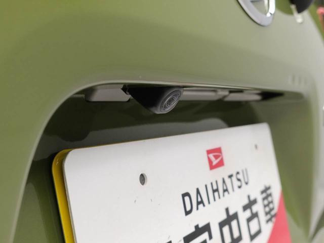 タントファンクロス