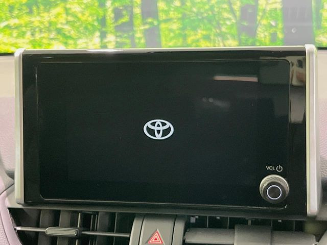 RAV42.0 X