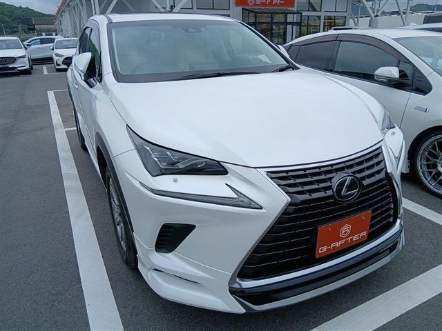 NX300 Iパッケージ
