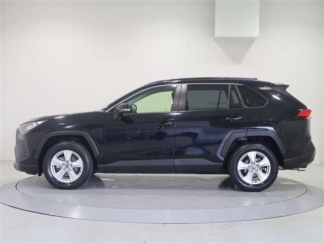 RAV42.0 X