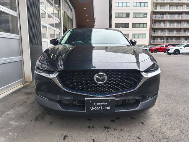 CX-302.0 20S プロアクティブ ツーリングセレクション 4WD
