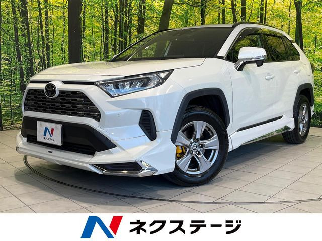 RAV42.0 X