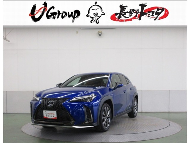 UX250h Fスポーツ