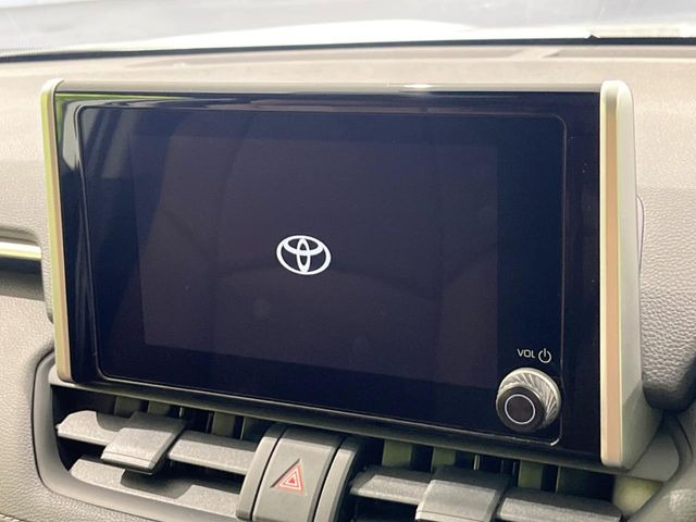 RAV42.0 X