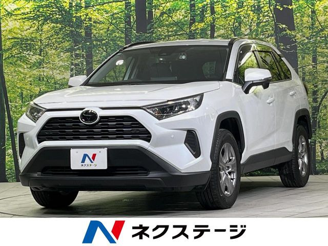 RAV42.0 X