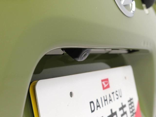 タントファンクロス