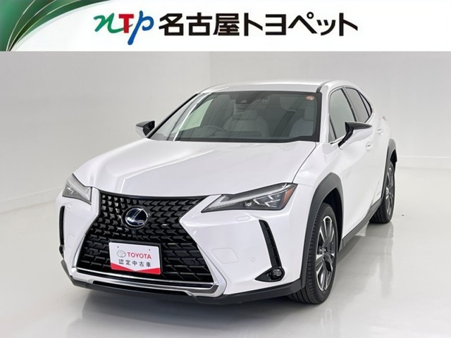 UX250h バージョンC