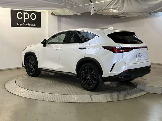 NX250 バージョンL