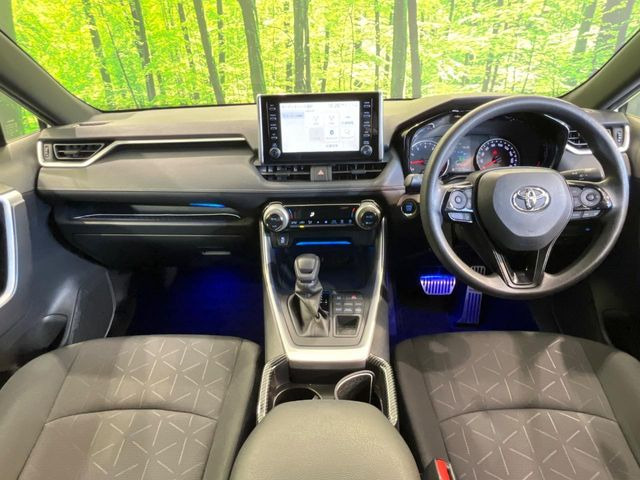 RAV42.0 X