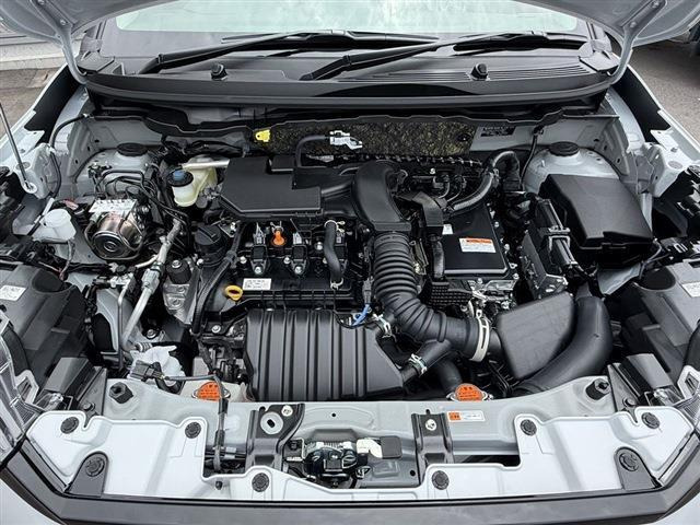 ライズハイブリッド 1.2 Z