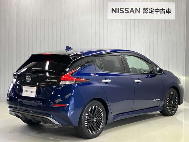 リーフG