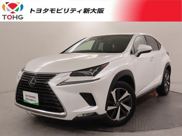 NX300 Iパッケージ