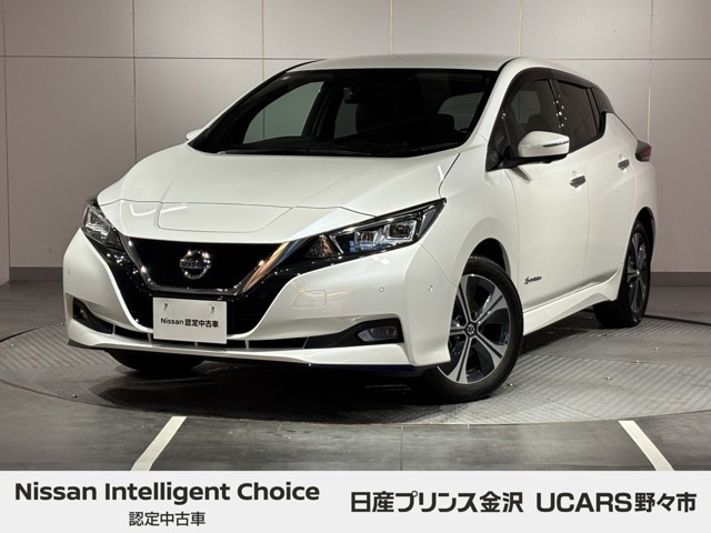 リーフe+ G